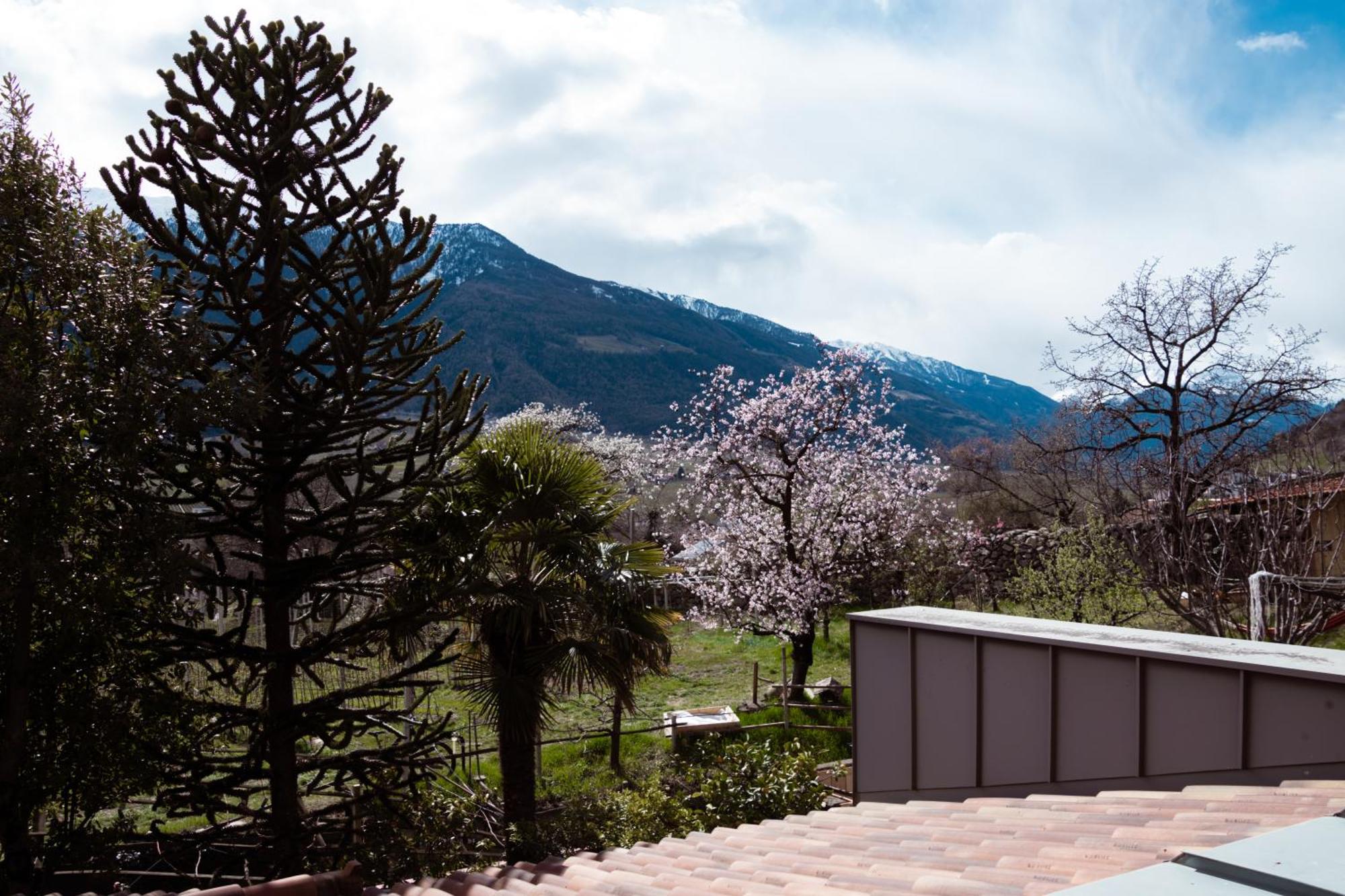 Garni Unterwegguetl Bed & Breakfast Naturns Exterior foto