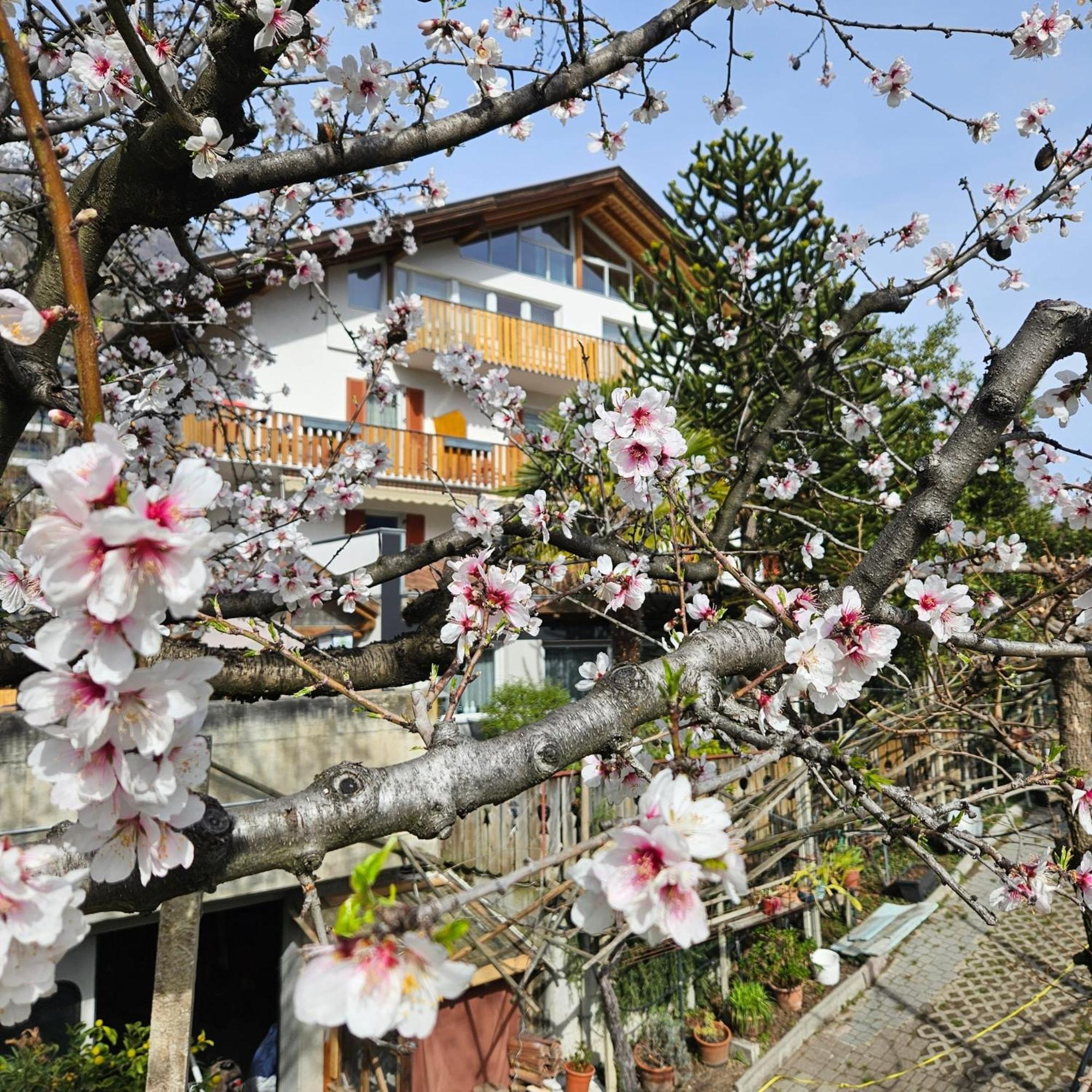 Garni Unterwegguetl Bed & Breakfast Naturns Exterior foto